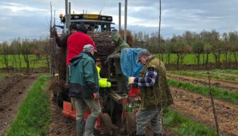 Nieuwe rassen moeten pruimenseizoen met maand verlengen