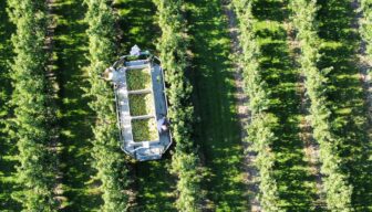 Ontwerp-UPLG: nog geen duidelijkheid over impact voor fruitteelt