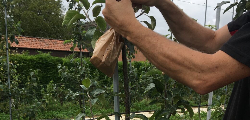 Groener spuitschema vraagt duidelijk meer middelengebruik   