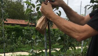 Groener spuitschema vraagt duidelijk meer middelengebruik   