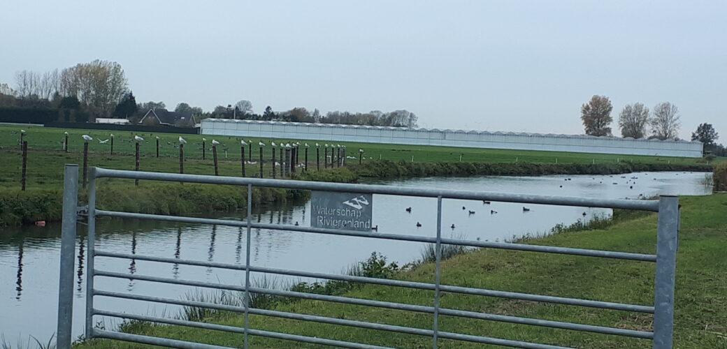 ‘Concept-omgevingsvisie provincie Gelderland niet werkbaar voor fruitteelt’