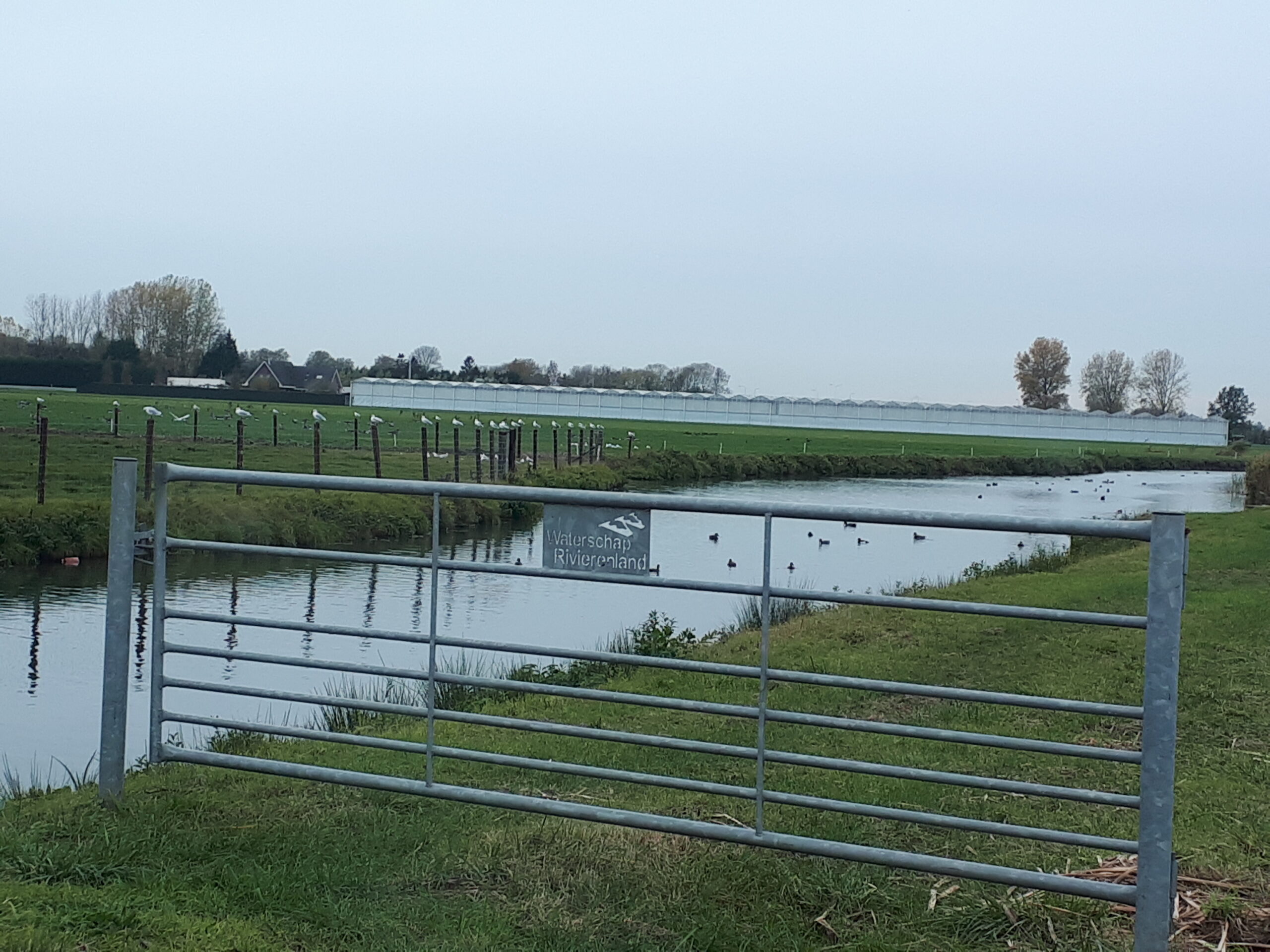 ‘Concept-omgevingsvisie provincie Gelderland niet werkbaar voor fruitteelt’