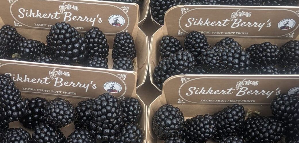 ALV HKSF: brede steun voor NFO Taskforce Gewasbescherming