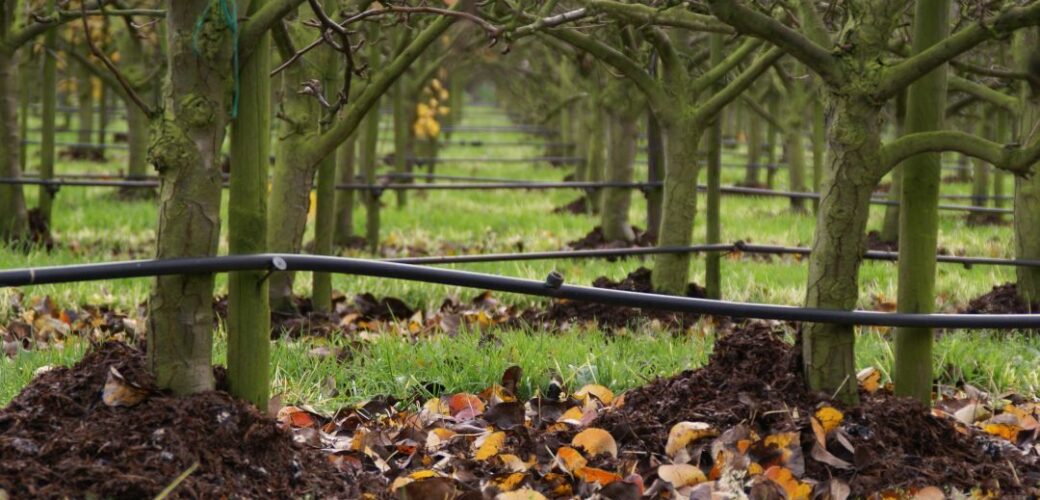 Nieuwe stikstofnormen en aandachtsgebieden zijn onwerkbaar