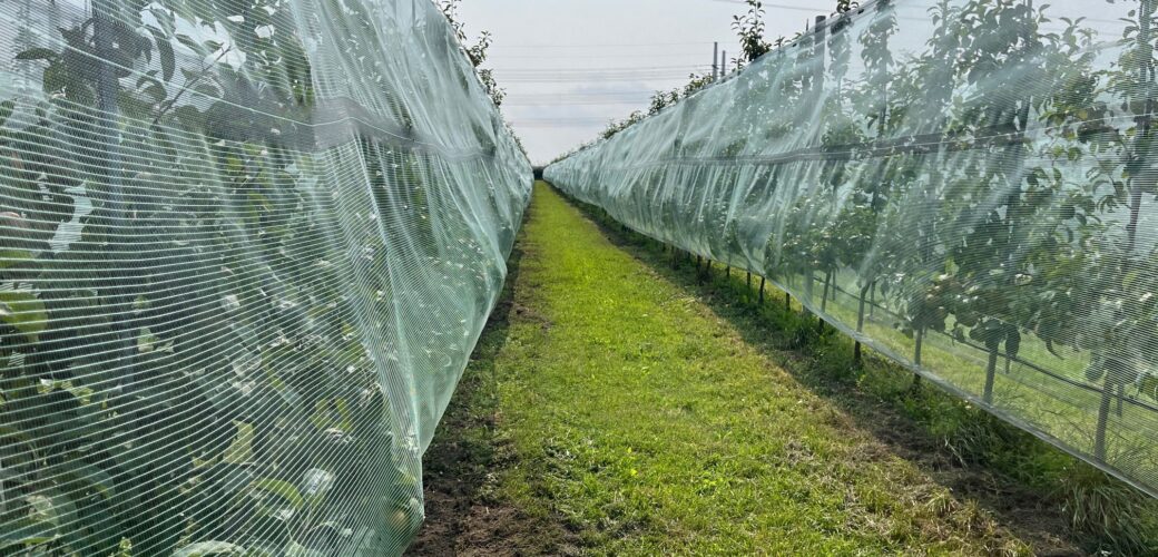 Scala aan mogelijkheden voor subsidie en fiscale aftrek