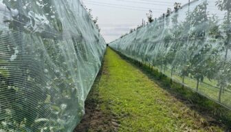 Scala aan mogelijkheden voor subsidie en fiscale aftrek