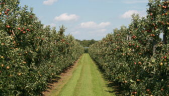 Delphy treedt toe tot Platform FRUITVOORUIT