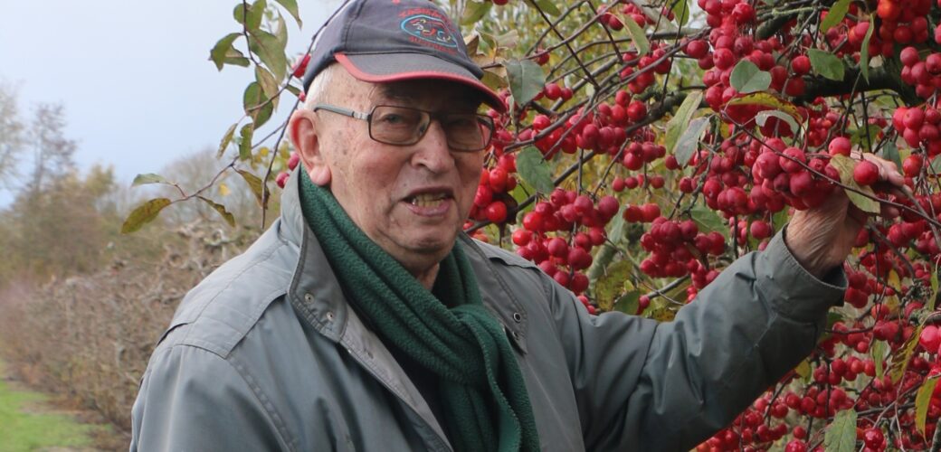 Vakblad Fruitteelt sluit 2025 af: kersteditie valt volgende week op de mat