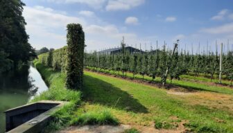 NFO Taskforce Gewasbescherming: ‘Agroforestry? De fruitteeltsector doet het al jaren!’