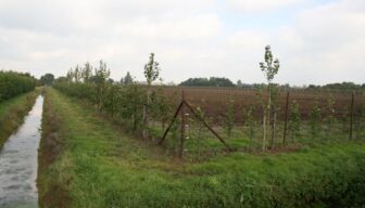 UPLG: wat heeft NFO sinds donderdag gedaan?