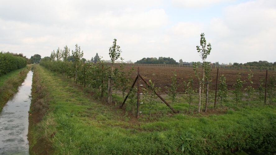 UPLG: wat heeft NFO sinds donderdag gedaan?