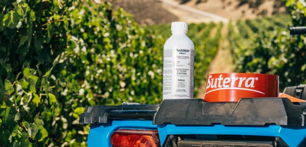 Toelating Checkmate Puffer Leaf Multi   