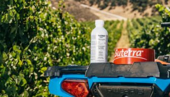 Toelating Checkmate Puffer Leaf Multi   