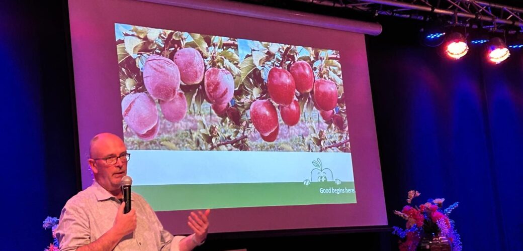 ‘Goede ervaringen met QTee in de biologische teelt’