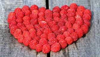 Oproep: pak uw rol en zet gezonde voeding centraal!