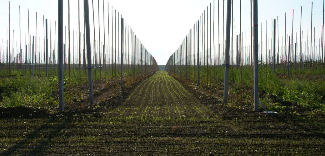 Belastingdienst verhoogt normbedragen voor aanwaskosten