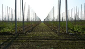 Belastingdienst verhoogt normbedragen voor aanwaskosten