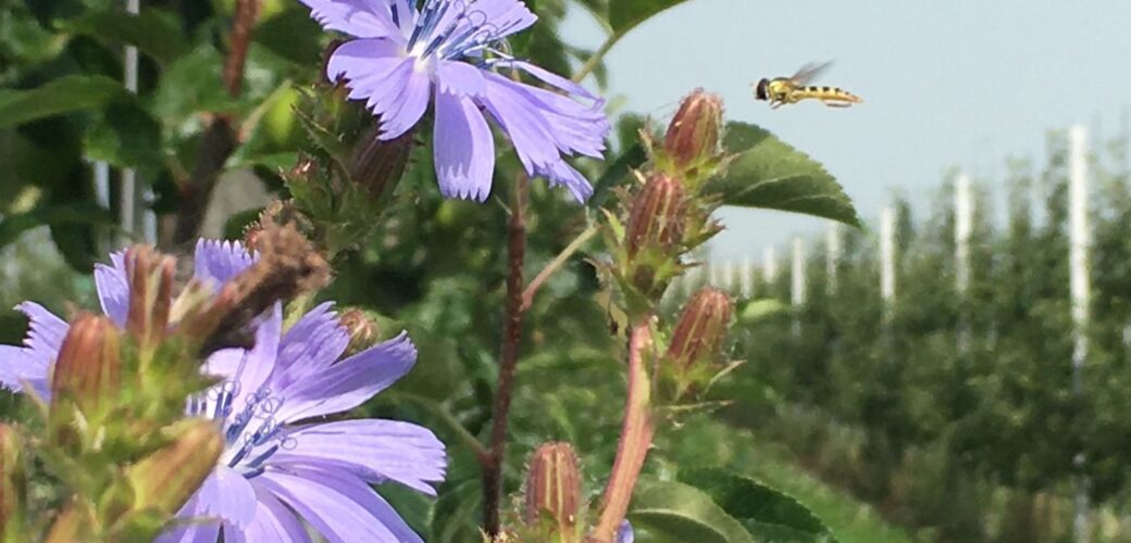 Investeringsfonds Duurzame Landbouw