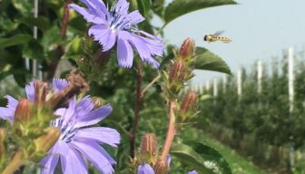 Investeringsfonds Duurzame Landbouw