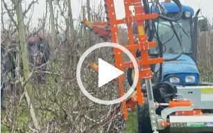 Veel belangstelling voor demonstratie mechanische snoeimachines