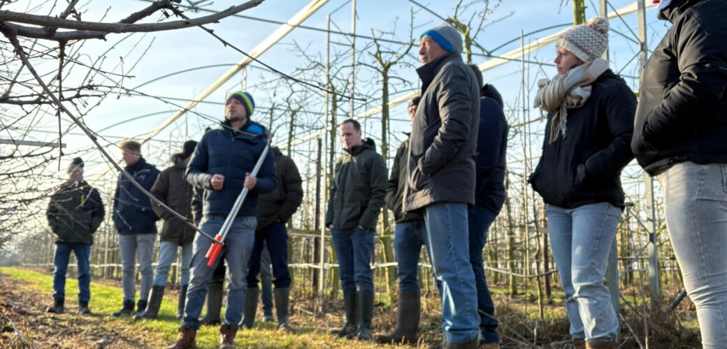 Drukbezochte snoeibijeenkomst voor kersen- en bessentelers