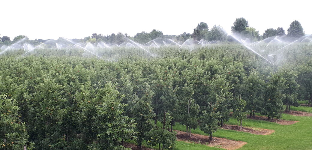 Onderzoek toekomst landbouwwaterleiding Zeeland: uw mening is van groot belang!