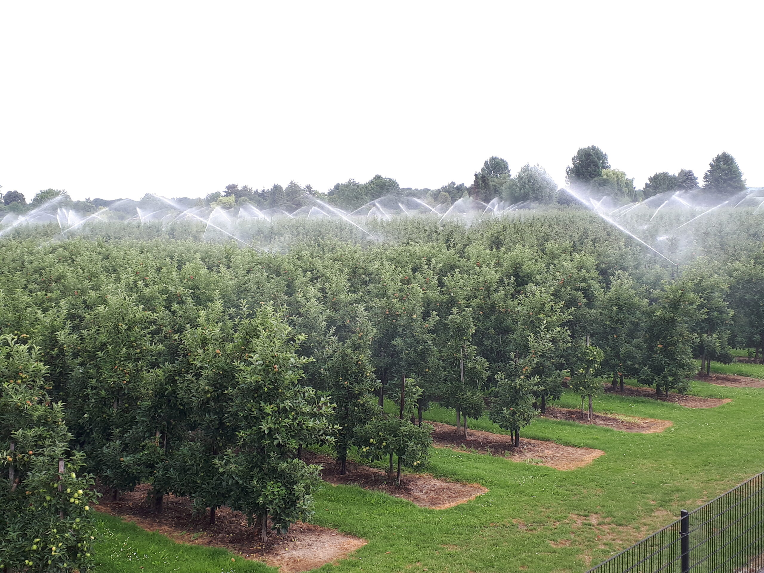 Onderzoek toekomst landbouwwaterleiding Zeeland: uw mening is van groot belang!