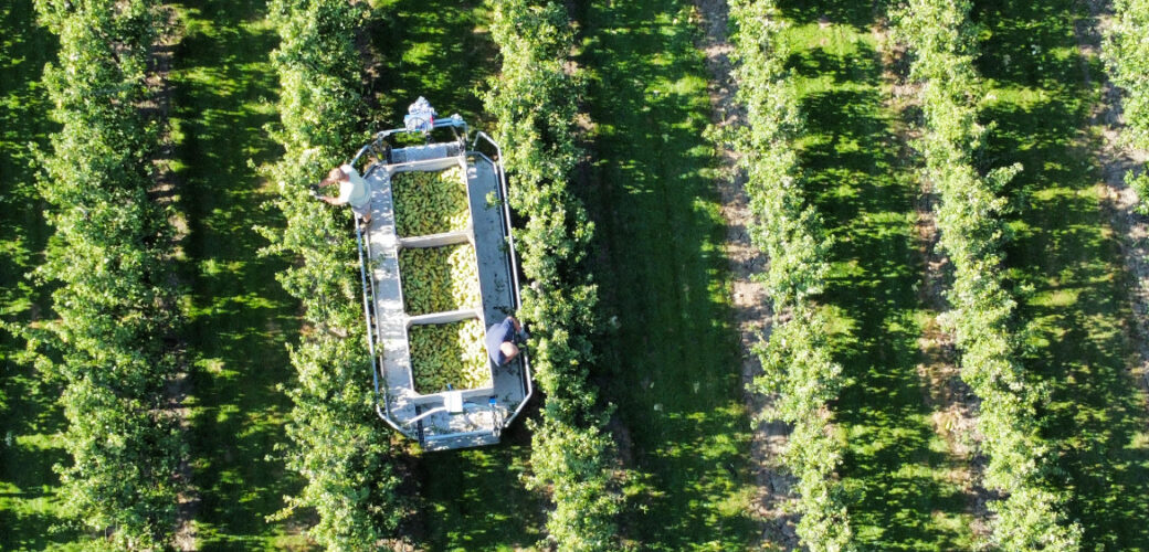 Brede steun Utrechtse Staten voor ‘maatwerk-fruitteelt’ binnen UPLG