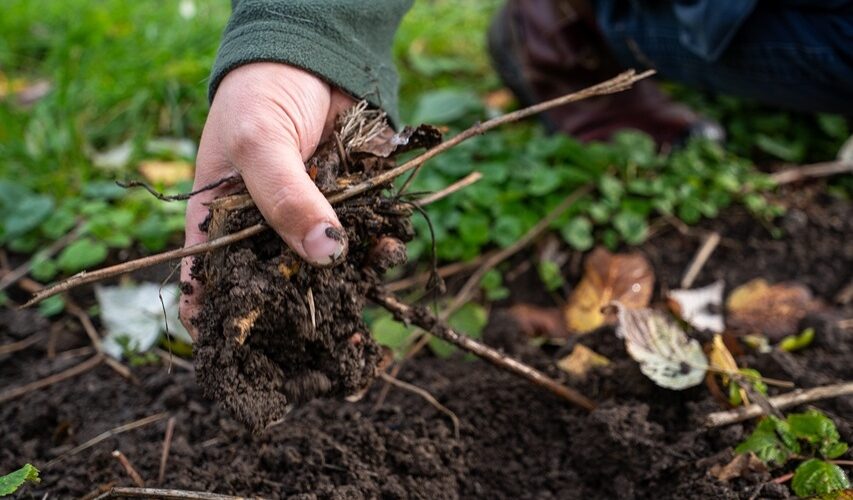 Nieuwe ronde ‘Bodem als Basis’ in Hollandse Delta