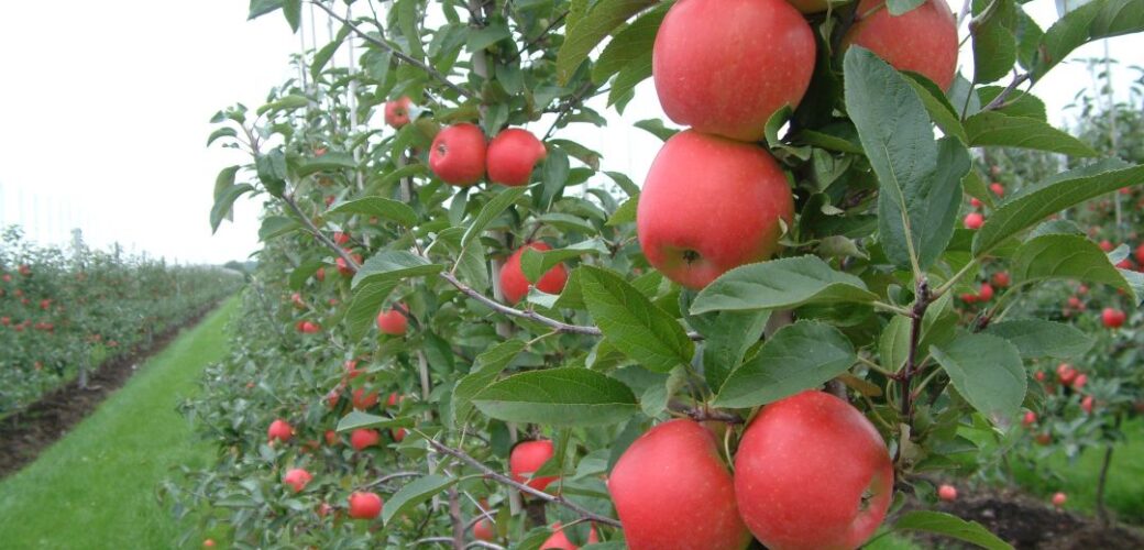 Discussie gemeente Buren over het ‘slaapkameronderzoek’