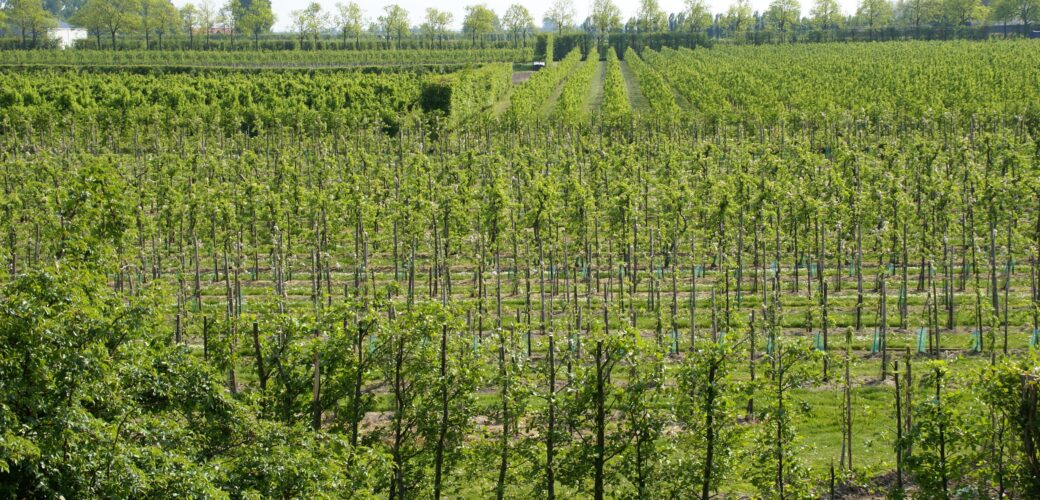 Vertrouwenscommissie Kring Zuid‑West Nederland aan de slag