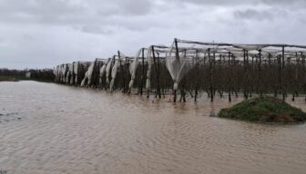 Water- en stormschade voor Franse fruittelers
