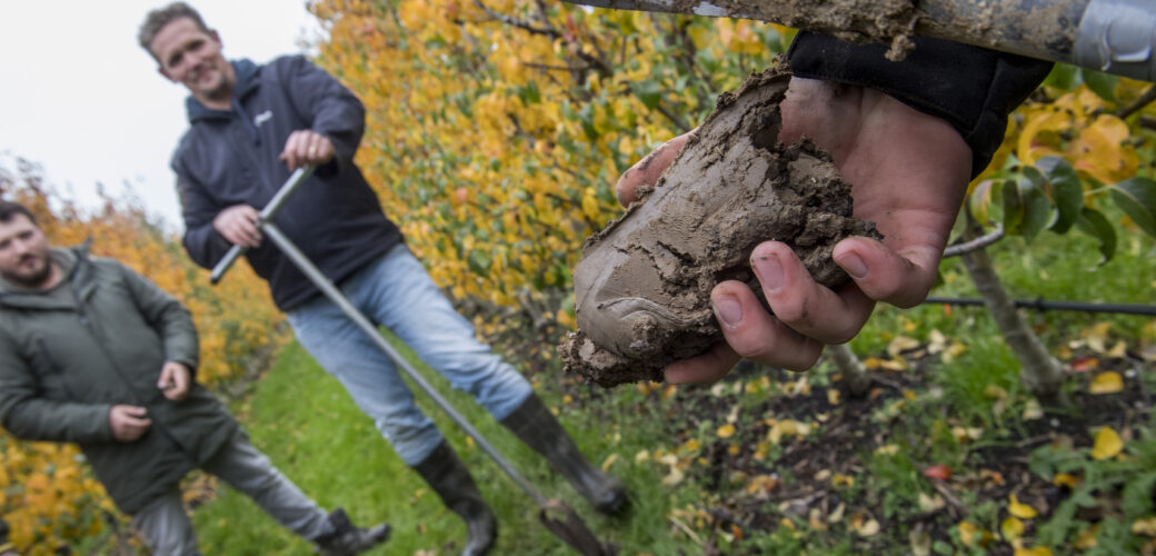 Haal jij alles uit je bodem?