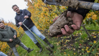 Haal jij alles uit je bodem?