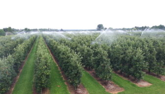 Waterwinning OASEN: besluit uitgesteld, zorgen bij fruittelers blijven
