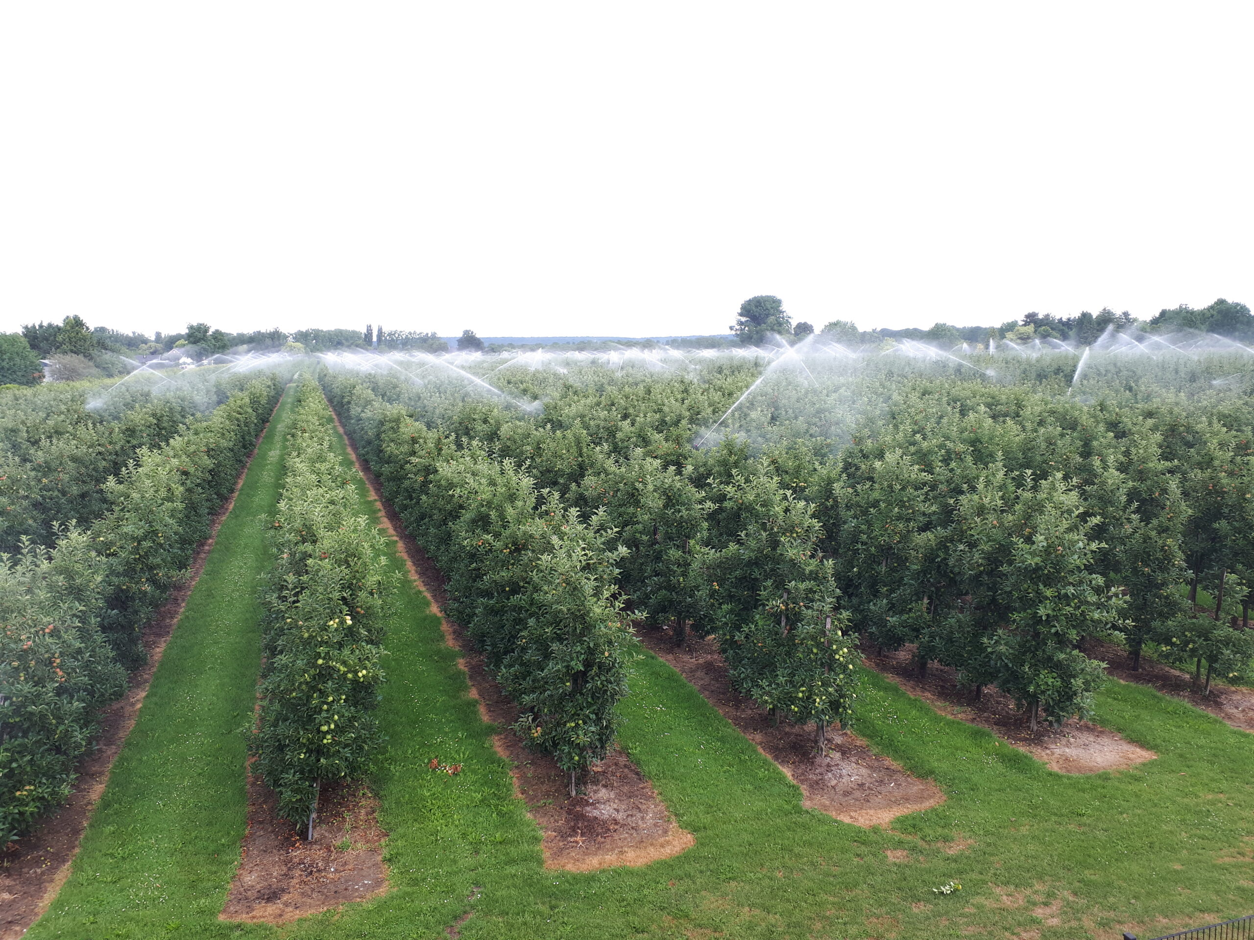 Waterwinning OASEN: besluit uitgesteld, zorgen bij fruittelers blijven
