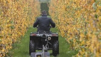 Cursus Vitale Bodem: duik in de wereld van bodem en bemesting!