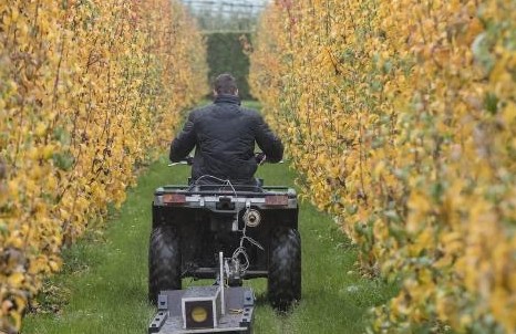 Cursus Vitale Bodem: duik in de wereld van bodem en bemesting!