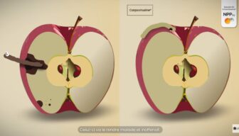 Nieuwe uitvoering van Carpovirusine ook toegelaten in pruim en walnoot