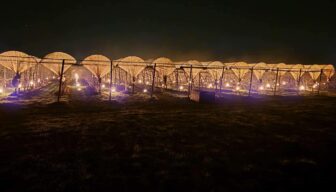 Telers in actie tegen vroege nachtvorst