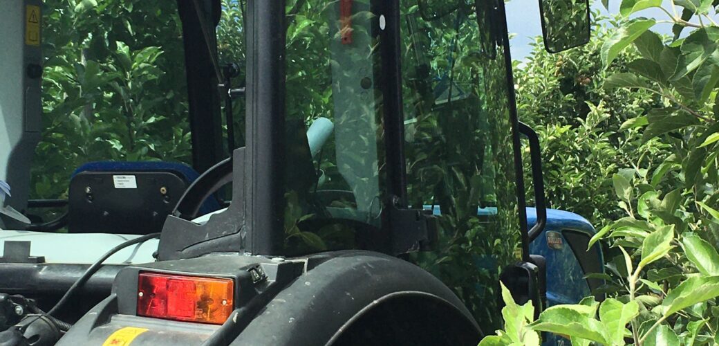 Loop jij vast met T-rijbewijzen van buitenlandse werknemers? Vul de enquête in!