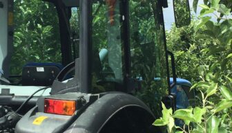 Loop jij vast met T-rijbewijzen van buitenlandse werknemers? Vul de enquête in!