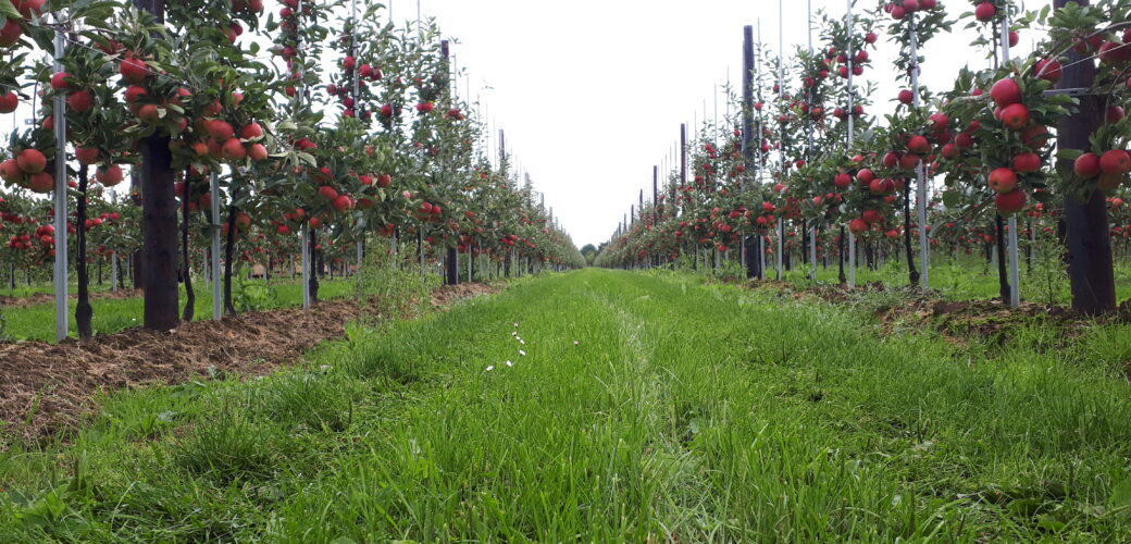 Extra ALV Kring Zuid West Nederland op 29 april: voordracht nieuwe kringbestuurders