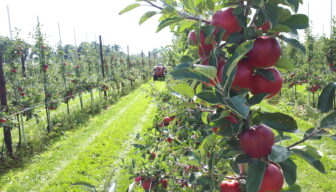 Landbouwcollectief Gelderland aan tafel met provincie