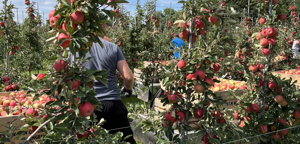 Cafetariaregeling 2026: gevolgen voor uitruil huisvestingskosten