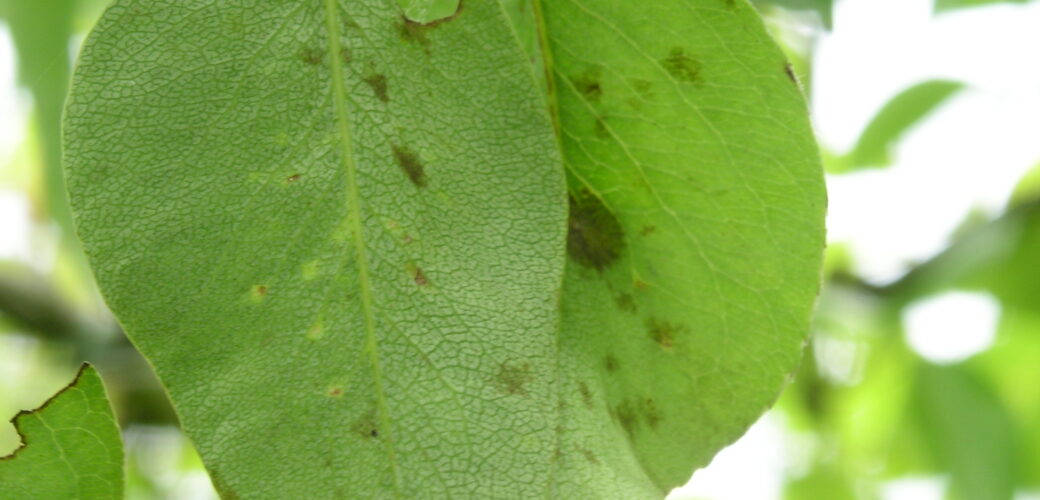 Vrijstelling voor Curatio gepubliceerd