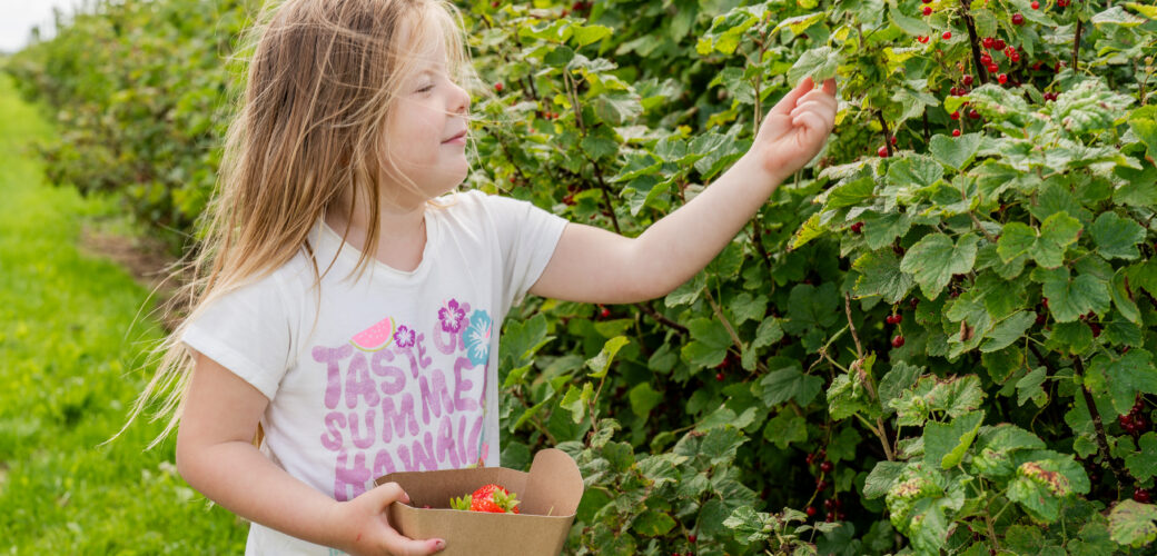 Meld uw bedrijf aan voor De Fruitigste Kleinfruitdagen 2026!
