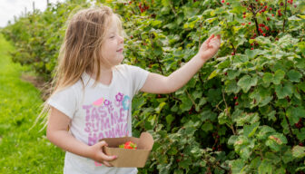 Meld uw bedrijf aan voor De Fruitigste Kleinfruitdagen 2026!
